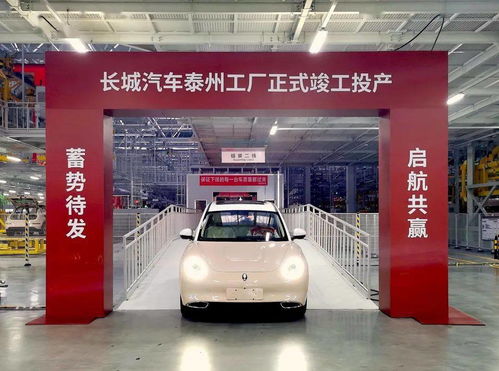 年產(chǎn)能10萬(wàn)輛 長(zhǎng)城汽車(chē)泰州智慧工廠正式竣工投產(chǎn)